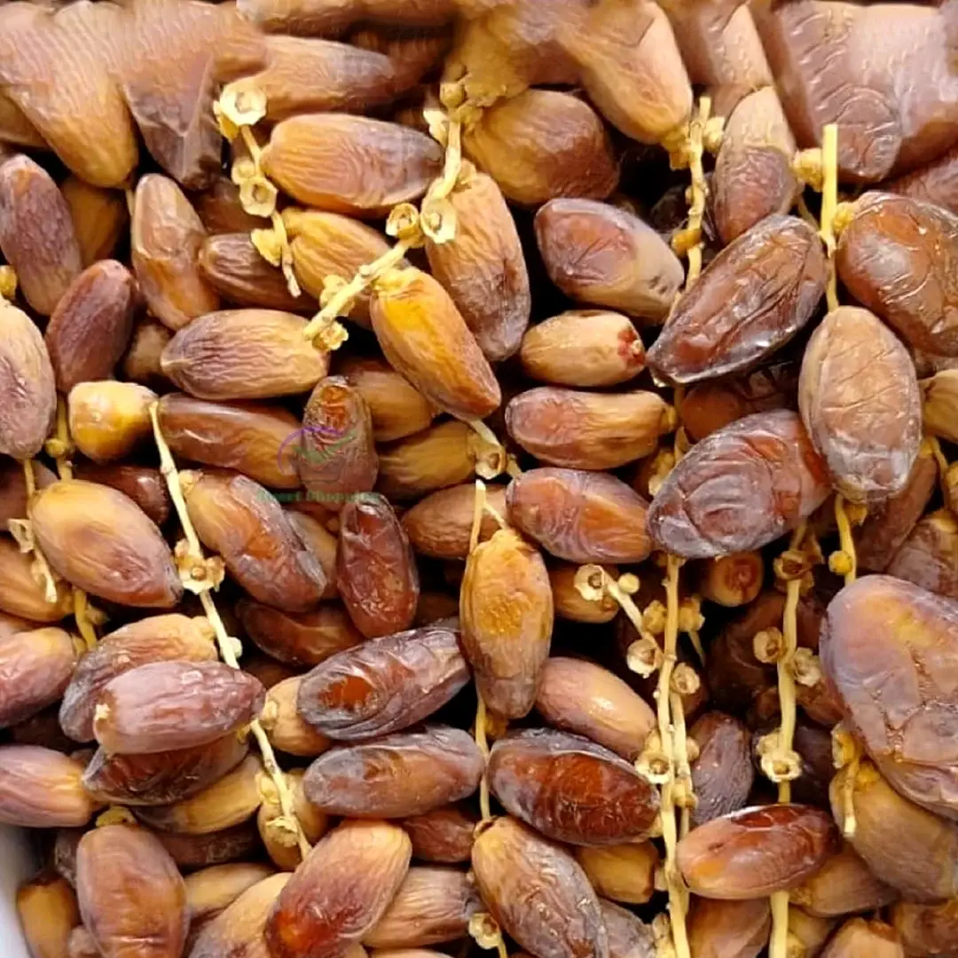 মোঃ সাইফুল ইসলাম